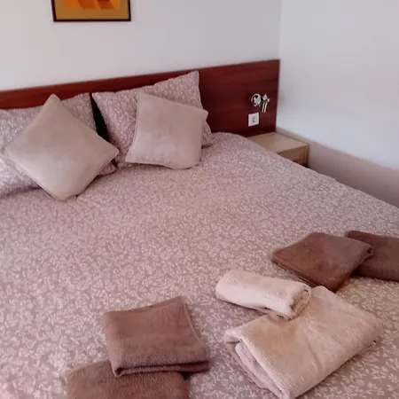 Belvedere Club 503 *