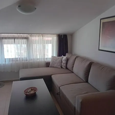 Belvedere Club 503 *