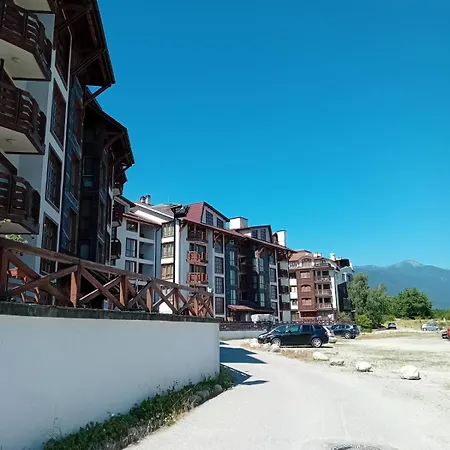 Belvedere Club 503 *