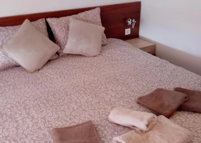 Belvedere Club 503 *