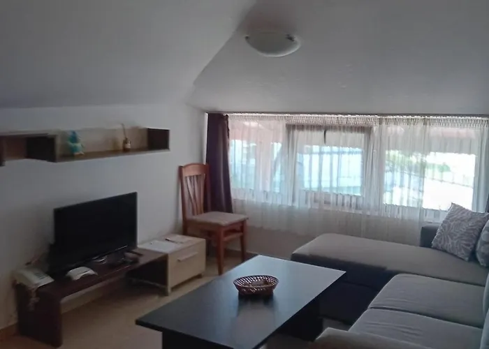 Belvedere Club 503 * バンスコ