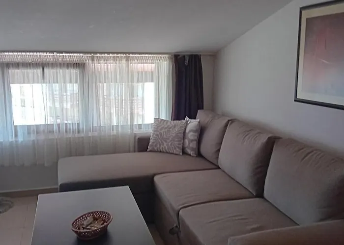 Belvedere Club 503 *