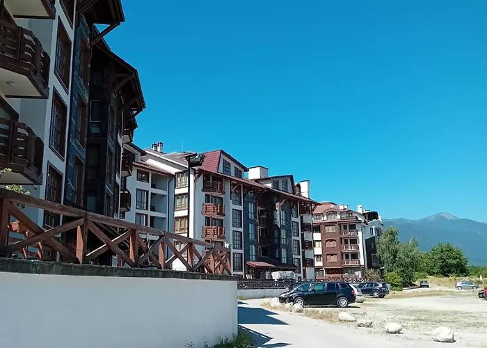 Belvedere Club 503 *